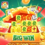 556bet